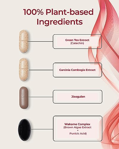 FOODOLOGY Burningology D-Day (Pack of 1, 10 Days) - Jiaogulan, Wakame Complex, Green Tea Extract FOODOLOGY uk supplements