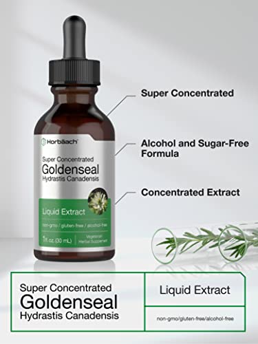 Goldenseal Root Extract Liquid | 1 fl oz Tincture | Super Concentrated | Alcohol Free Horbäach uk supplements