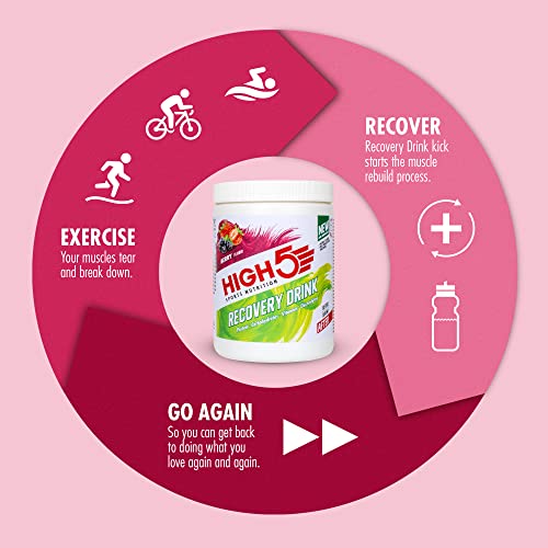 HIGH5 Recovery Drink | Whey Protein Isolate | Promotes Recovery | (Berry, 450g) HIGH5 uk supplements