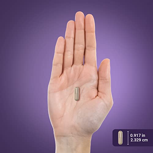 Piping Rock Detox Cleanse Capsules | 240 Pills | Herbal Complex | Lean Formula Piping Rock uk supplements