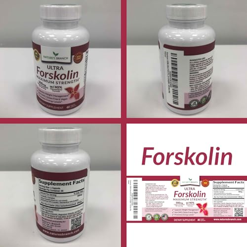 Premium 100% Ultra Pure Forskolin for Weight Loss Max Strength w/ 40% Standardized Nature's Branch uk supplements