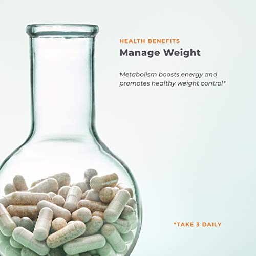 Metabolism - Weight Control Support & Energy Boosting Supplement - Natural Appetite LifeSeasons uk supplements