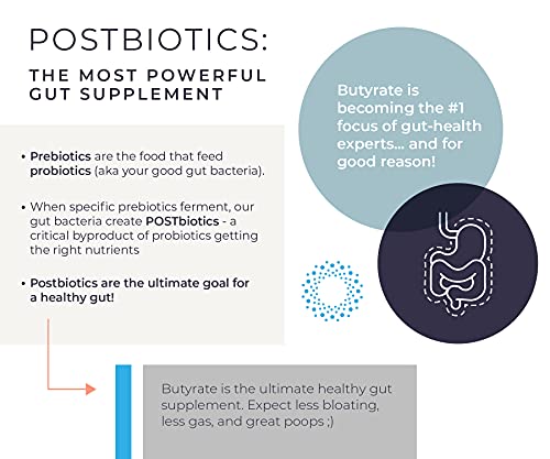 BodyBio Butyrate with Calcium & Magnesium - Supports Healthy Digestion, Gut & Microbiome BodyBio uk supplements