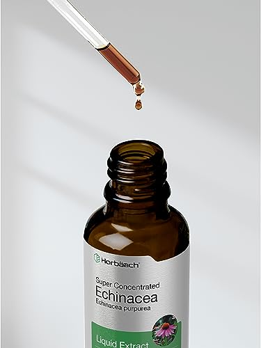 Echinacea Drops Liquid Extract | 2 fl oz | Super Concentrated Tincture | Alcohol Free Horbäach uk supplements