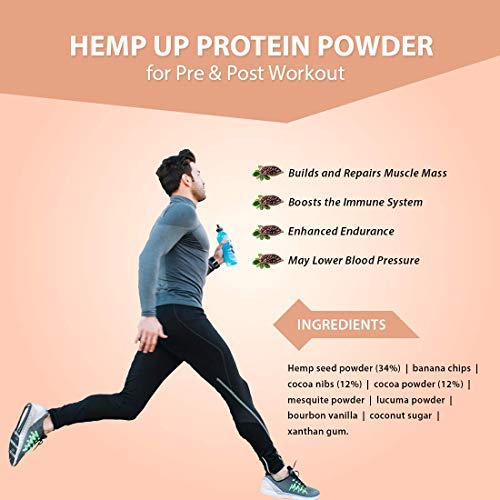 Canah Hemp Up Organic Protein Shake Powder – Muscle gain & Boost up Immune System, HEMP UP! uk supplements