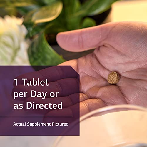 Standard Process Iodomere - Whole Food Metabolism and Thyroid Support with Echinacea Standard Process Inc. uk supplements