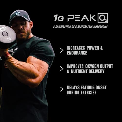 Jacked Factory Build-XT Daily Muscle Builder & Performance Enhancer - Muscle Building Jacked Factory uk supplements