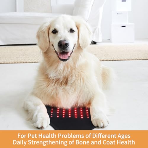 SUNNYOUNG Red Light Therapy Belt, Infrared Light Therapy Wrap Muscle Relaxing Belt with 120 LED Lights sunnyoung uk supplements