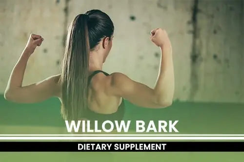 PURE ORIGINAL INGREDIENTS Willow Bark Extract (365 Capsules) No Magnesium Or Rice Fillers, Always Pure, Lab Verified PURE ORIGINAL INGREDIENTS uk supplements