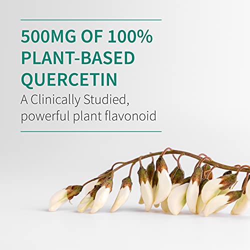 Garden of Life Quercetin Once Daily Immune System Support Garden of Life uk supplements