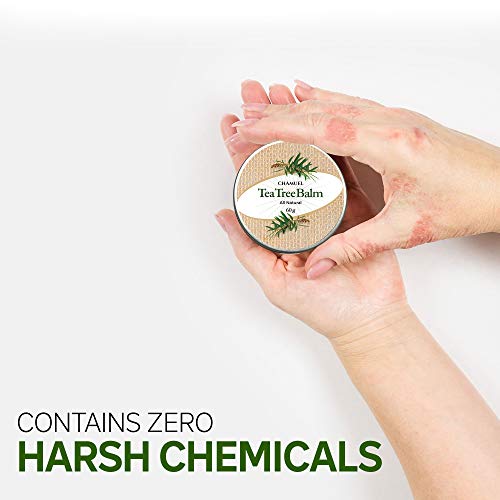 TEA TREE OIL BALM -100% All Natural | Great Cream for Soothing Irritations like Eczema Chamuel uk supplements