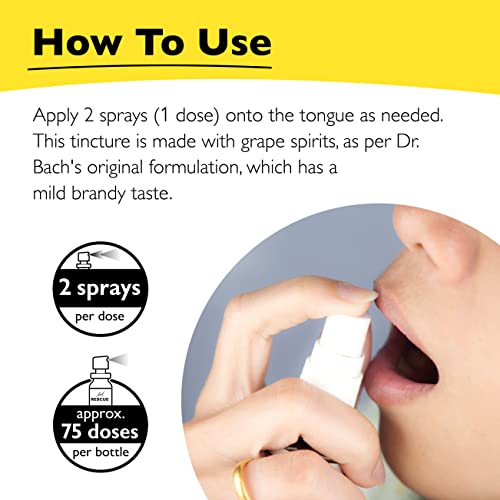 Day & Night Bundle, Bach RESCUE REMEDY Spray, Natural Stress Relief [and] RESCUE SLEEP Spray RESCUE uk supplements