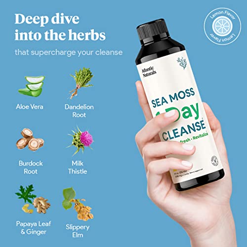 Sea Moss 1 Day Cleanse - Full Body Detox to support bowel movements, Kidney Health Atlantic Naturals uk supplements