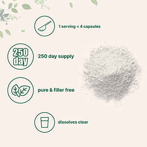 Pure L Serine Powder, 500 Grams (250 Day Supply), Filler Free, Supports Production Micro Ingredients uk supplements