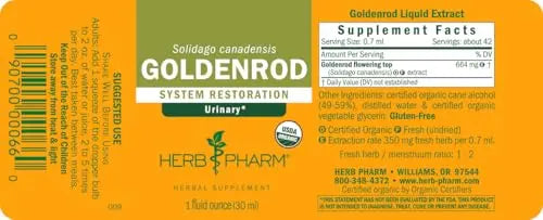 Herb Pharm Certified Organic Goldenrod Liquid Extract for Urinary System Support, 1 Fl Oz (Pack of 1) Herb Pharm uk supplements