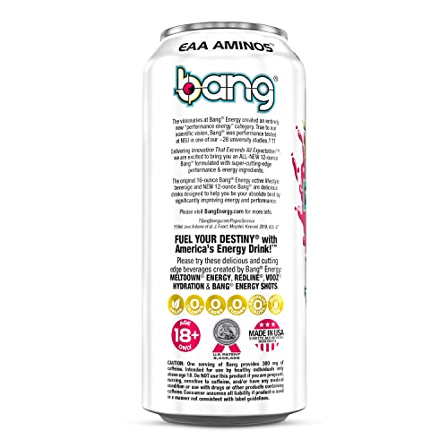 Bang Energy Power Punch, Sugar-Free Energy Drink, 16-Ounce (Pack of 12) BANG uk supplements