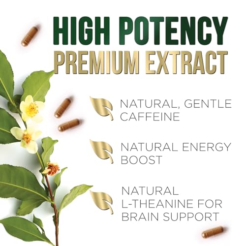 Nature's Green Tea Extract Pills 98% Standardized EGCG 1000mg - 3X Strength for Natural Nature's Nutrition uk supplements