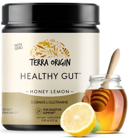 TERRA ORIGIN Healthy Gut Powder (Honey Lemon) | 30-Servings with L-Glutamine TERRA ORIGIN uk supplements