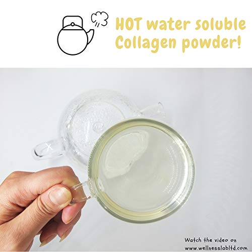 Cleanest Marine Collagen Peptides | Wellness Lab 454g | Type I,III | Highest Bioavailability Hydrolysed Protein Wellness Lab uk supplements
