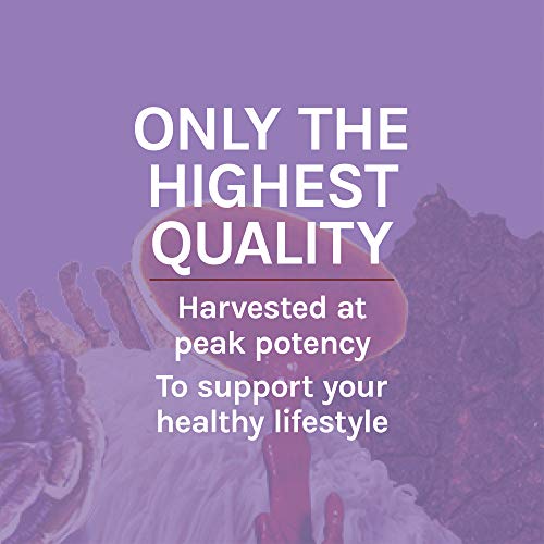 Host Defense, Lion's Mane Capsules, Promotes Mental Clarity, Focus and Memory Host Defense uk supplements
