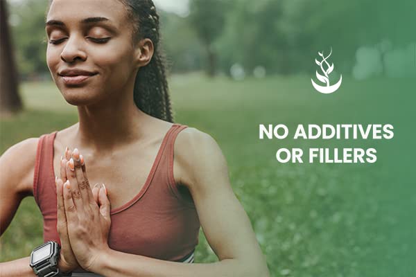 PURE ORIGINAL INGREDIENTS Yerba Mate (365 Capsules), No Magnesium Or Rice Fillers PURE ORIGINAL INGREDIENTS uk supplements