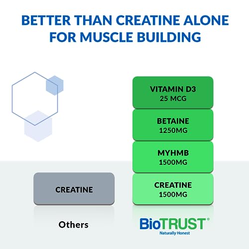 BioTrust Ageless Muscle Builder - Micronized Creatine Monohydrate Powder with HMB BioTrust uk supplements