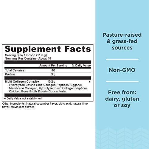 Ancient Nutrition Collagen Powder Protein, Multi Collagen Protein, Cucumber Lime, Hydroly Ancient Nutrition uk supplements