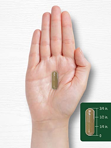 Carlyle Dandelion Root Capsules 1800mg | 300 Count | Non-GMO, Gluten Free Carlyle uk supplements