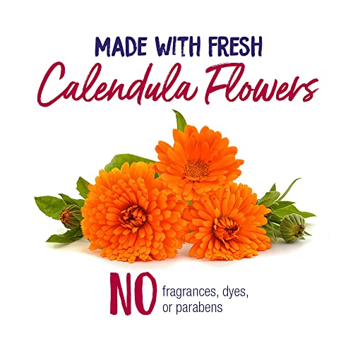 Boiron Calendula Cream for First Aid, Minor Burns, Cuts, Scrapes, Insect Bits and Sunburn - 2.5 oz Boiron uk supplements