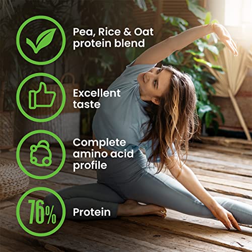 VPlab Vegan Protein Powder 500g - 16 Servings, 100% Plant Based and Natural Vegan Protein Shake vplab nutrition uk supplements