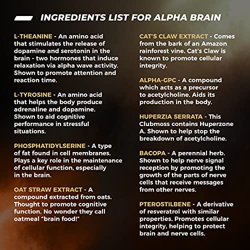 ONNIT Alpha Brain (120ct) - Over 1 Million Bottles Sold - Premium Nootropic Brain Sup ONNIT uk supplements