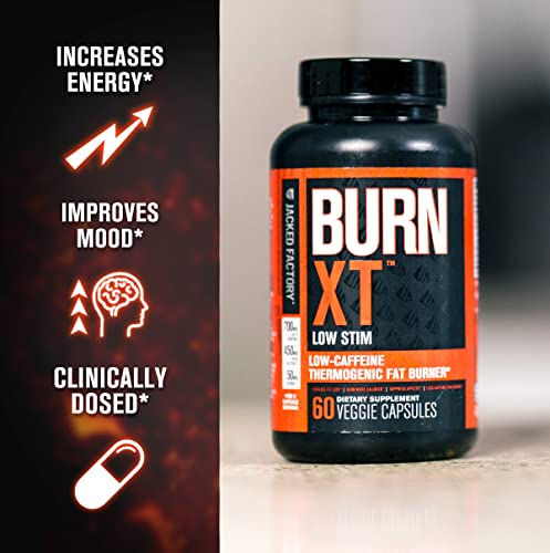 Jacked Factory Burn-XT Low Caffeine, Low Stim Weight Loss Supplement Jacked Factory uk supplements