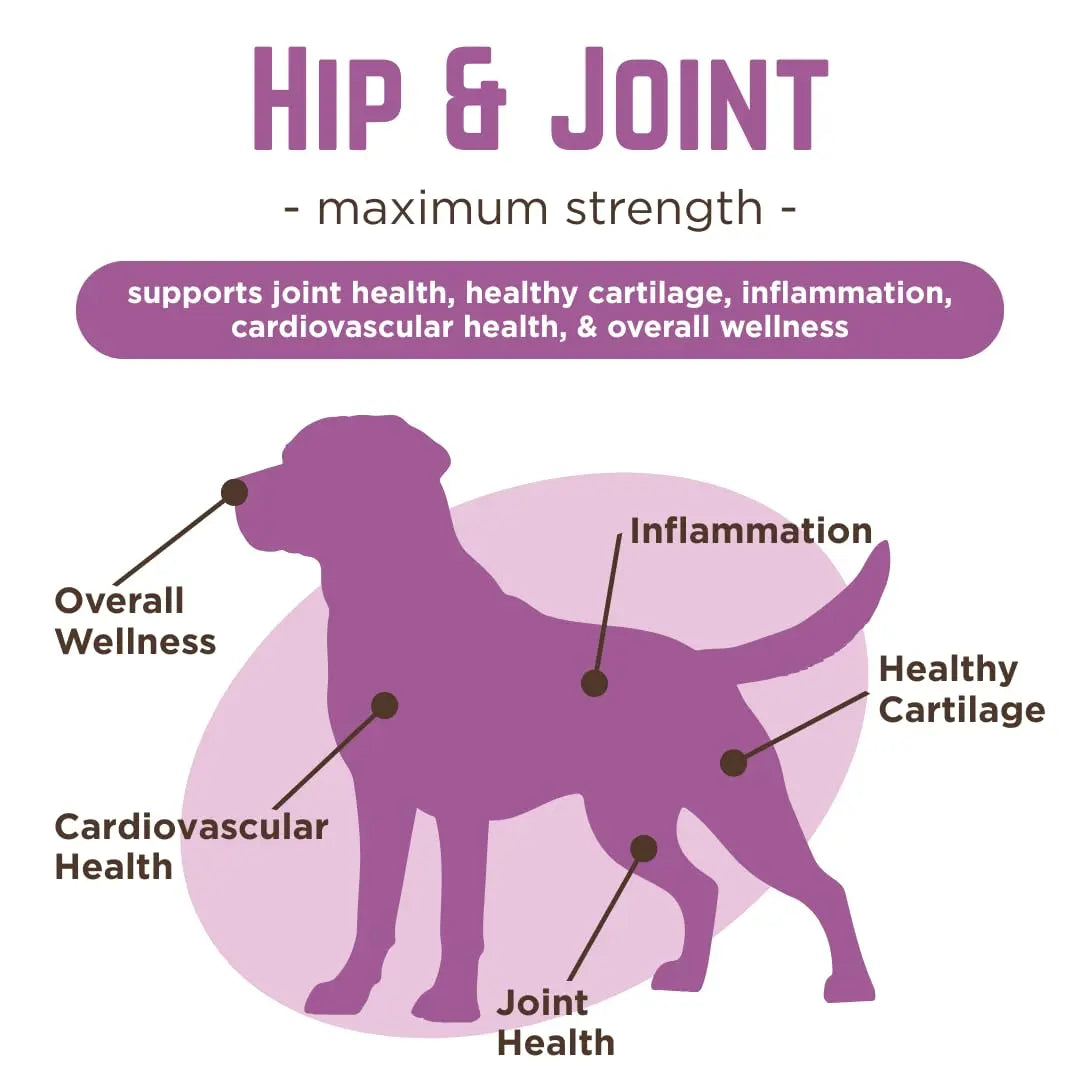 Dr. Joseph's VetPro Complete Dog Hip & Joint Supplement for Arthritis Pain Relief – High-Strength Glucosamine & Chondroitin Chews for Senior Dogs – Vet Formulated Daily Treats, Chicken Flavor, 60 Ct VetPro Complete uk supplements