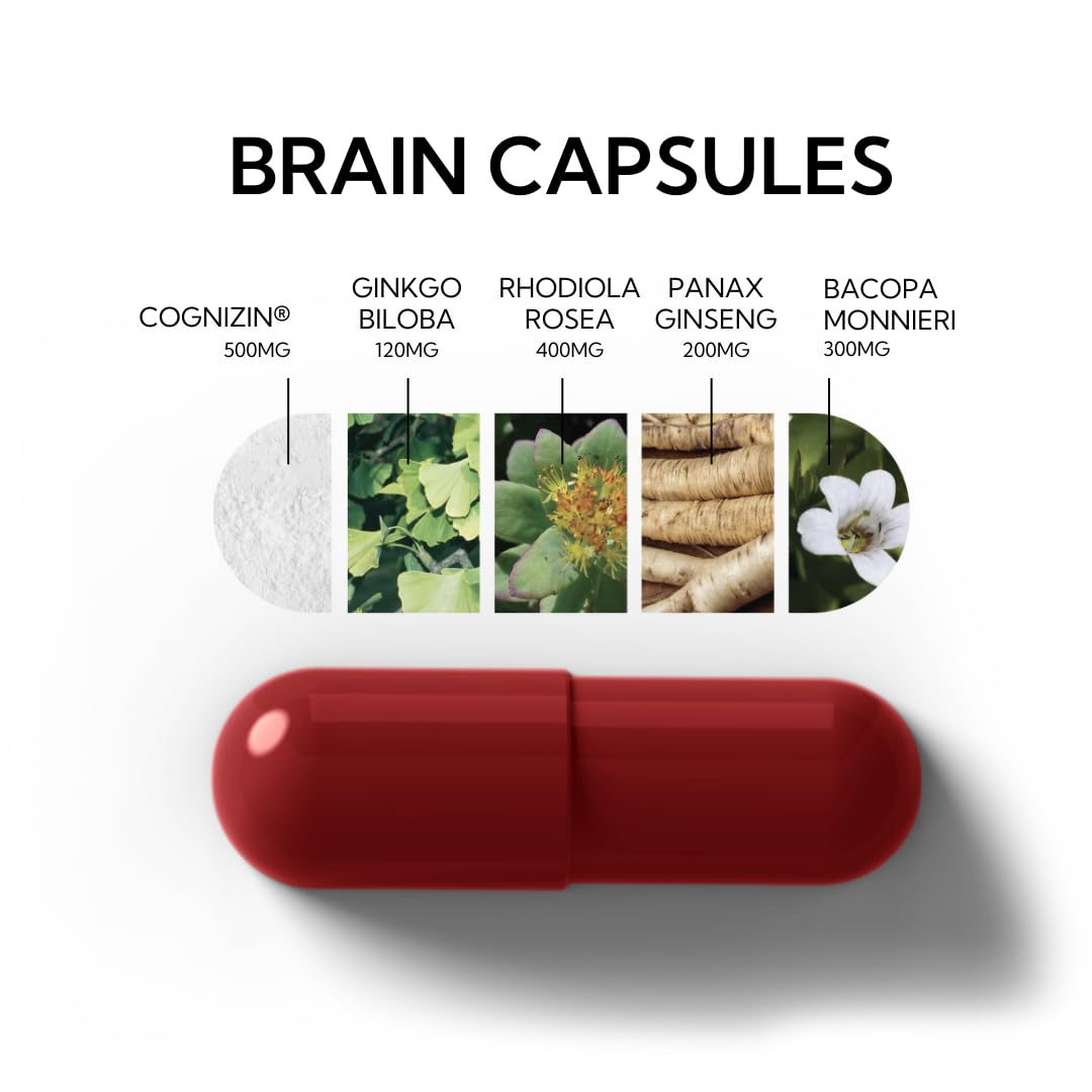 Neutonic Nootropic Brain Supplement | 1 Month Supply 90 Capsules | for Men and Women | Support Memory, Mental Clarity, Cognitive Function | Boost Focus, Energy, Brain Health Neutonic uk supplements