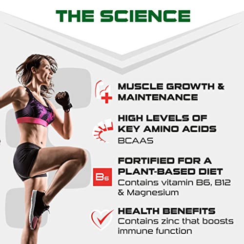 SCI-MX Pro-V Gain - 100% Vegan Chocolate Flavour Soy Protein Powder Isolate + B12 + Magnesium SCI-MX uk supplements