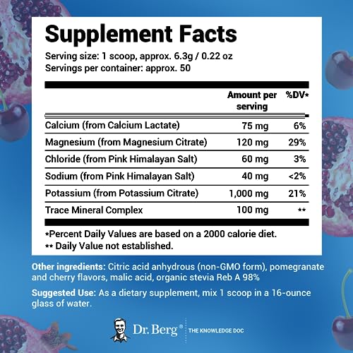 Dr. Berg Hydration Keto Electrolyte Powder - Enhanced w/ 1,000mg of Potassium Dr. Berg Nutritionals uk supplements