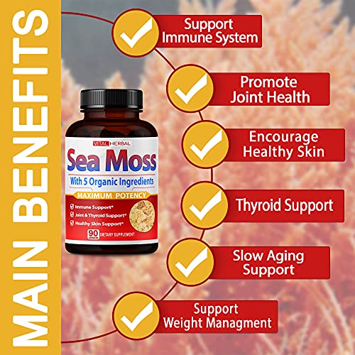 VITAL HERBAL Irish Sea Moss Capsules Equivalent to 5450mg - Maximum Potency VITAL HERBAL uk supplements