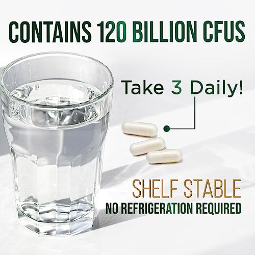 Nature's Peak Probiotics for Digestive Health - 120 Billion CFU with Diverse Strains Nature's Peak uk supplements