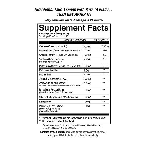 Origin Jocko Fuel Stim Free Pre Workout Powder with L-Citrulline, Nootropic for Endurance Jocko Fuel uk supplements