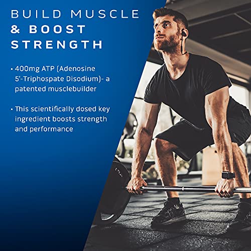 MuscleTech Muscle Building Supplements for Men & Women - Nitric Oxide MuscleTech uk supplements