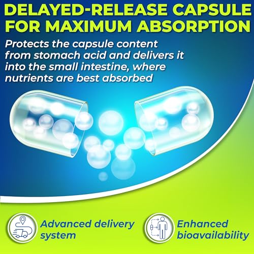 Probiotics with Digestive Enzymes and Prebiotic for Women and Men - 3-In-1 Vegan Probiotic SUPPLEMENTS STUDIO uk supplements