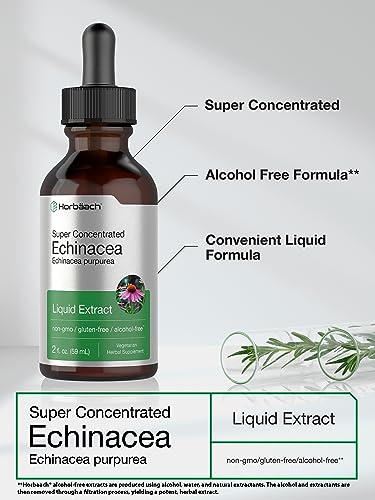 Echinacea Drops Liquid Extract | 2 fl oz | Super Concentrated Tincture | Alcohol Free Horbäach uk supplements