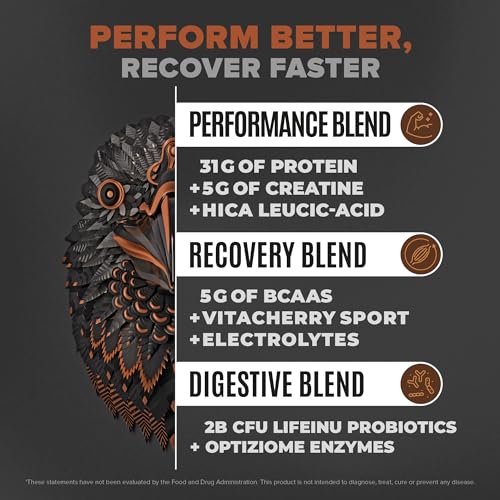 Birdman Falcon Performance Vegan Protein Powder, 31g Protein, 5g Creatine, 5g BCAA BIRDMAN uk supplements