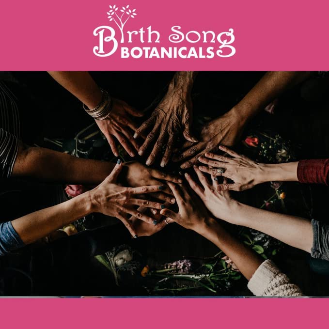 Birth Song Botanicals Menstrual Harmony Tincture, Herbal Period Symptom Support Birth Song Botanicals uk supplements