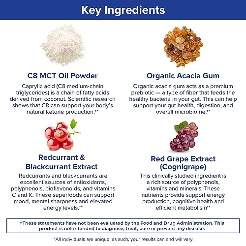 Gundry MD MCT Wellness Powder to Support Energy, Ketone Production and Brain Health Gundry MD uk supplements