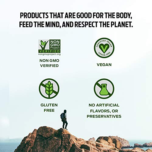 Vega Protein Made Simple Protein Powder, Strawberry Banana - Stevia Free, Vegan Vega uk supplements