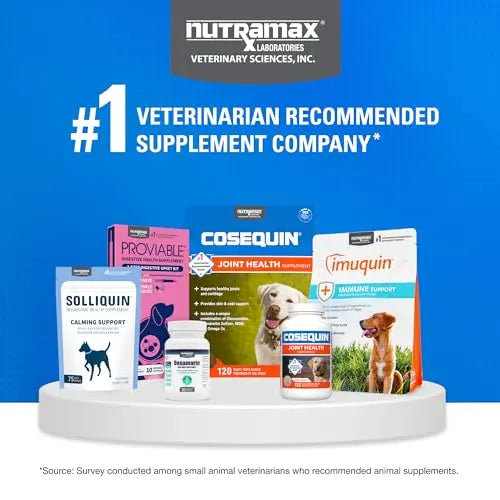 Nutramax Cosequin for Dogs Joint Health Supplement, Contains Glucosamine, Plus Chondroitin, MSM and Omega-3s, Supports Joint and Skin and Coat Health, Soft Chews, 120 Count Nutramax Laboratories uk supplements