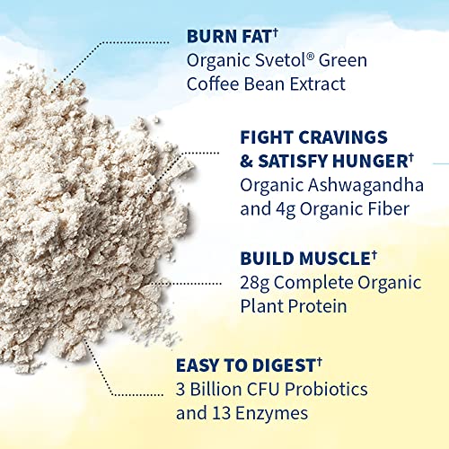 Garden of Life Raw Organic Fit Vegan Protein Powder Vanilla, 28g Plant Based Protein Garden of Life uk supplements