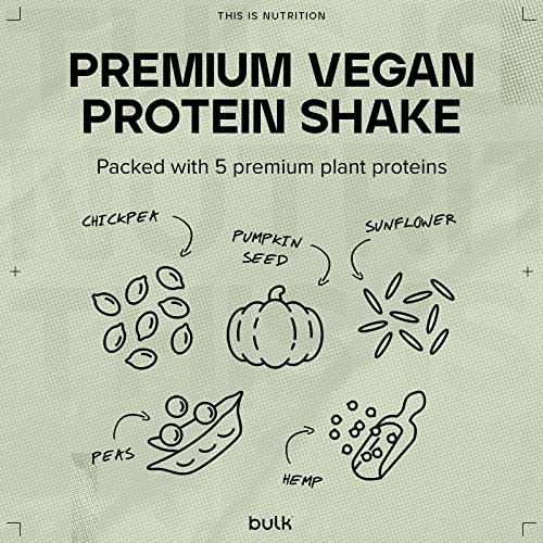 Bulk Gourmet Vegan Protein Powder, Strawberry, 700 g Bulk uk supplements