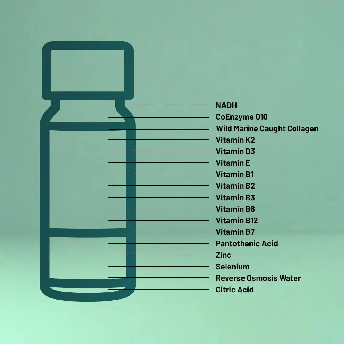 Strong Cell | Cellular Function Booster Liquid | NADH, CoQ10, Collagen. 90+% Absorption Rate. Vitamins B1, B2, B3, B6, B7, and B12. Vitamin K2 | 30 Count. Wellura uk supplements